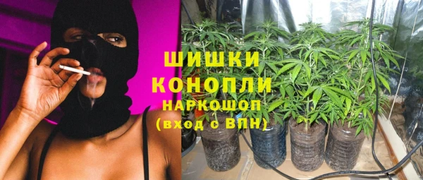 мдпв Ессентукская