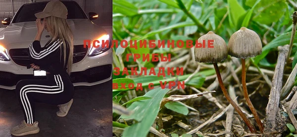 не бодяженный Новозыбков