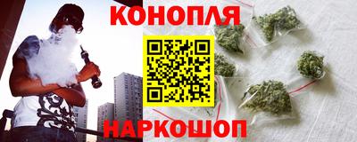 прущие грибы Заволжье