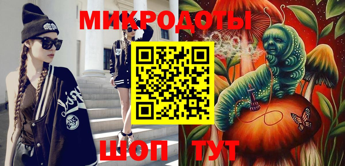 Псилоцибиновые грибы Psilocybe Курчалой