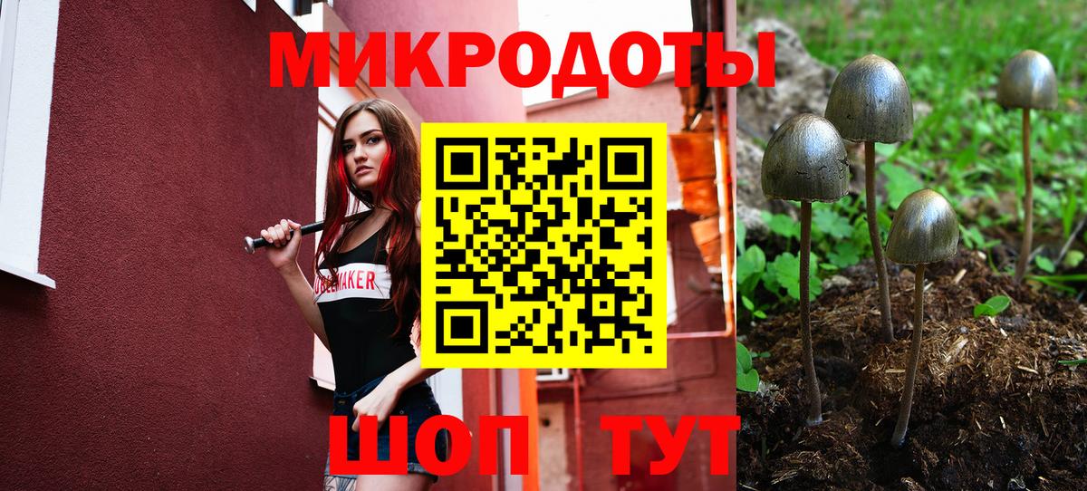 Курчалой  даркнет сайт  Галлюциногенные грибы Cubensis  Вход с VPN  Псилоцибиновые грибы Psilocybine cubensis 